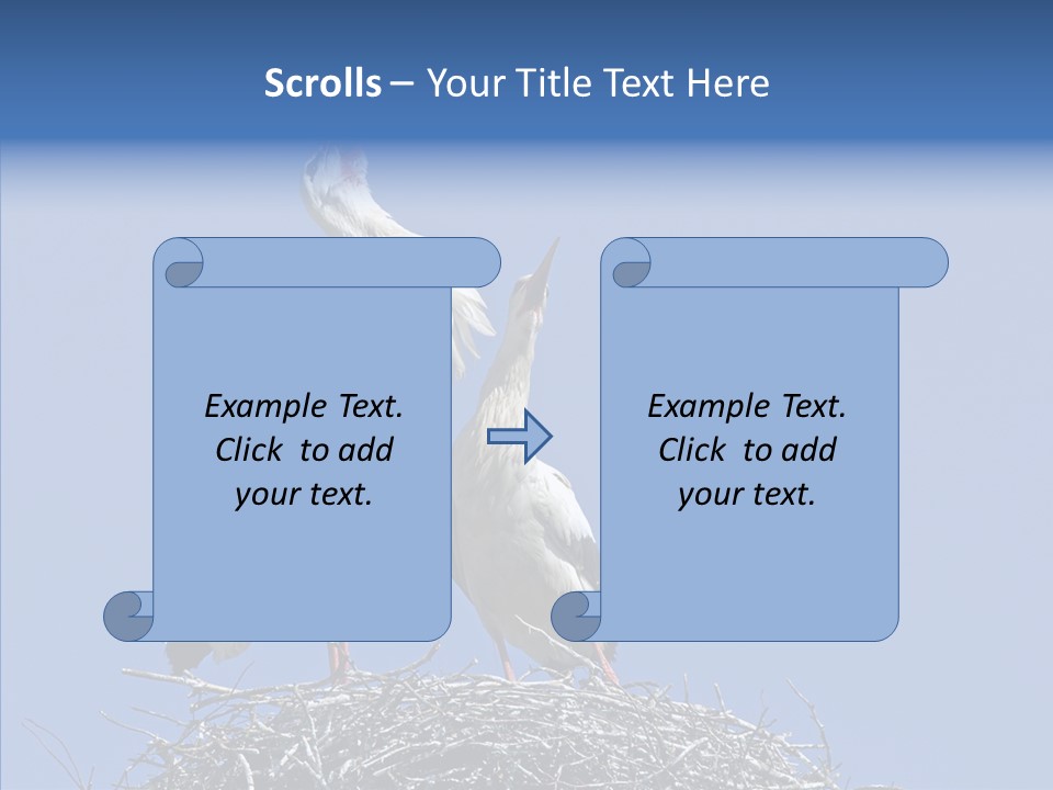 Life Bird Heterosexual PowerPoint Template