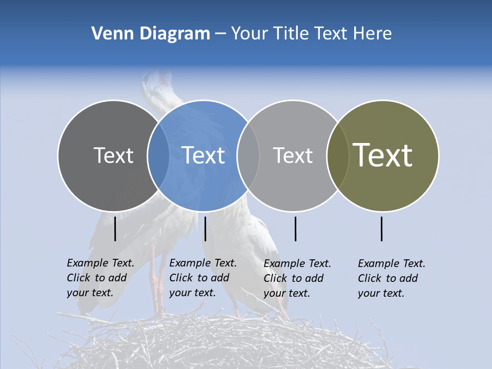 Life Bird Heterosexual PowerPoint Template