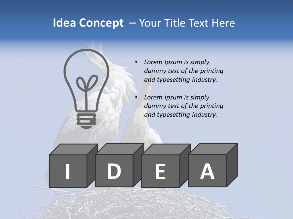 Life Bird Heterosexual PowerPoint Template