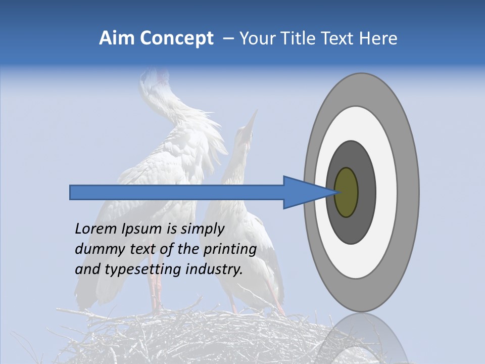 Life Bird Heterosexual PowerPoint Template