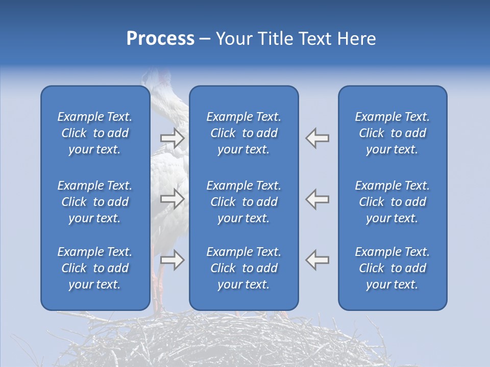 Life Bird Heterosexual PowerPoint Template