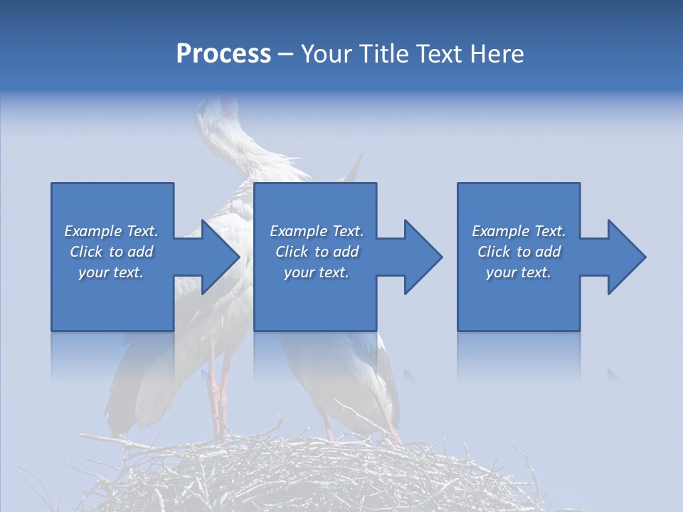 Life Bird Heterosexual PowerPoint Template