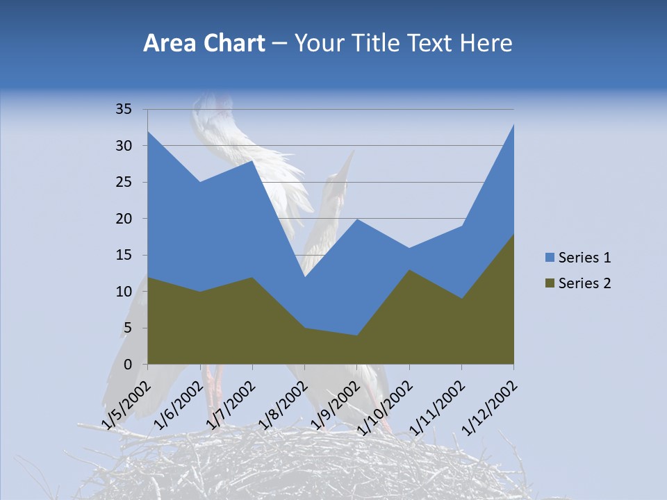 Life Bird Heterosexual PowerPoint Template