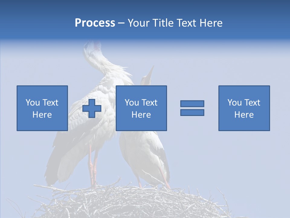 Life Bird Heterosexual PowerPoint Template