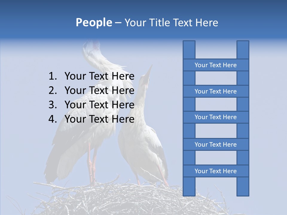 Life Bird Heterosexual PowerPoint Template