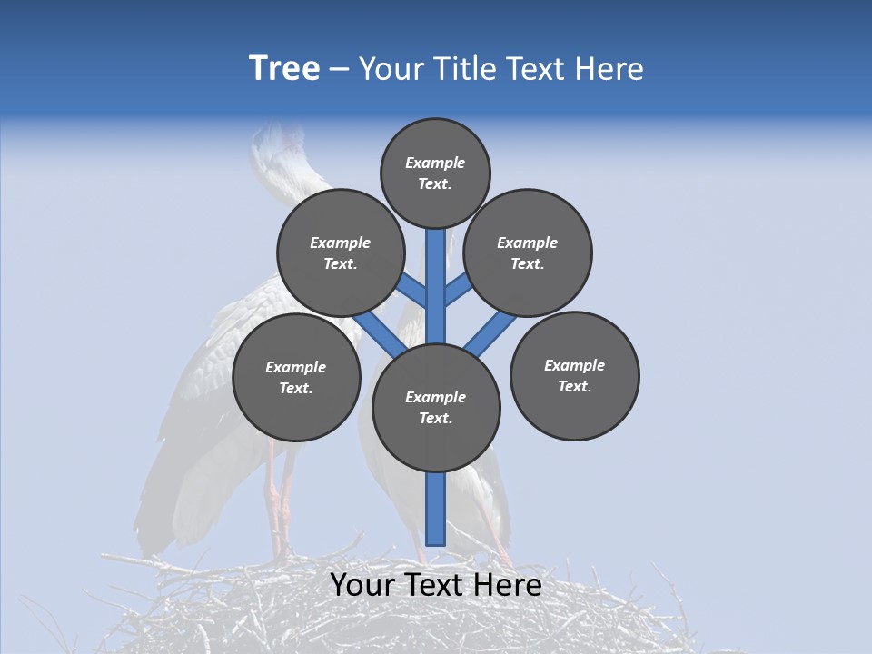 Life Bird Heterosexual PowerPoint Template