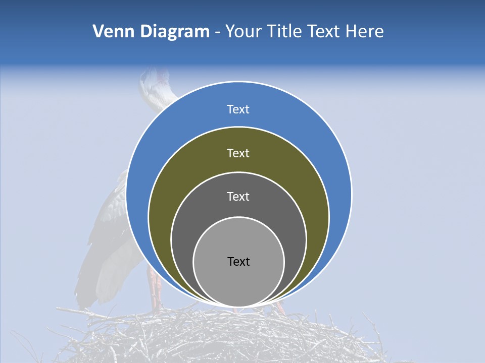 Life Bird Heterosexual PowerPoint Template