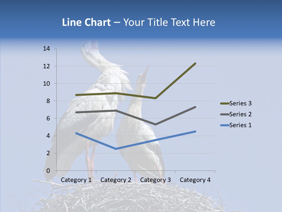 Life Bird Heterosexual PowerPoint Template