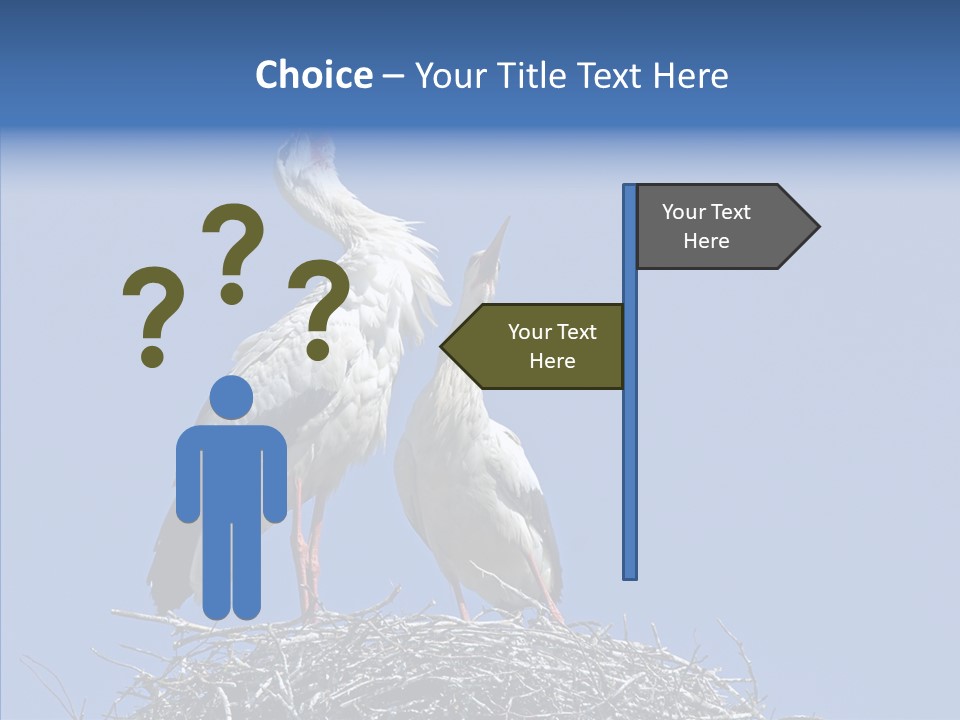 Life Bird Heterosexual PowerPoint Template