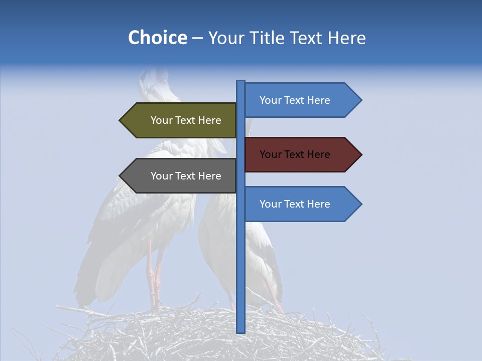 Life Bird Heterosexual PowerPoint Template