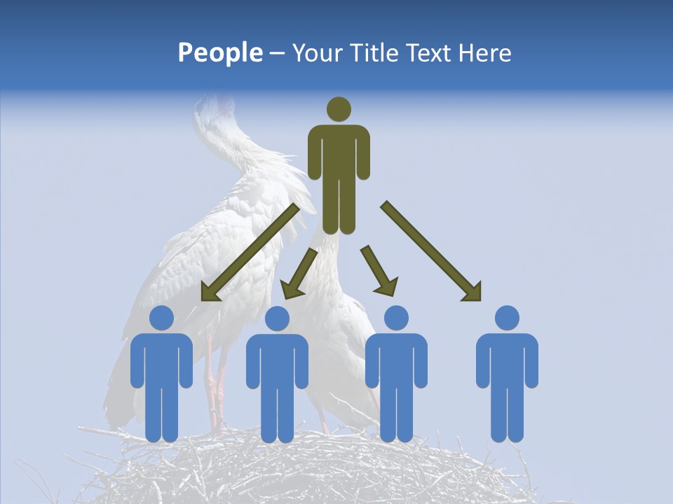 Life Bird Heterosexual PowerPoint Template