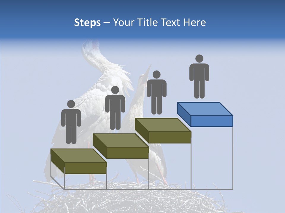 Life Bird Heterosexual PowerPoint Template
