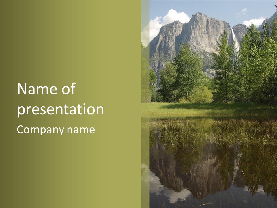 Nature Tree Daylight PowerPoint Template