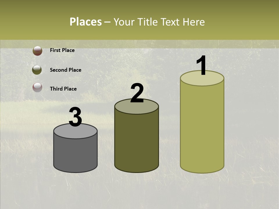 Nature Tree Daylight PowerPoint Template