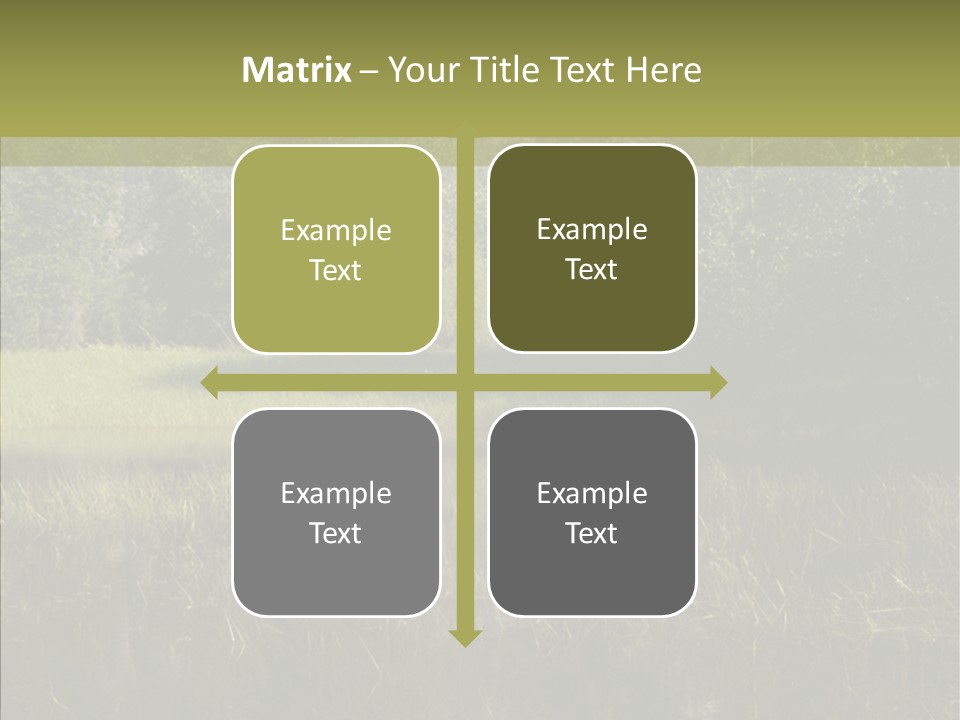 Nature Tree Daylight PowerPoint Template