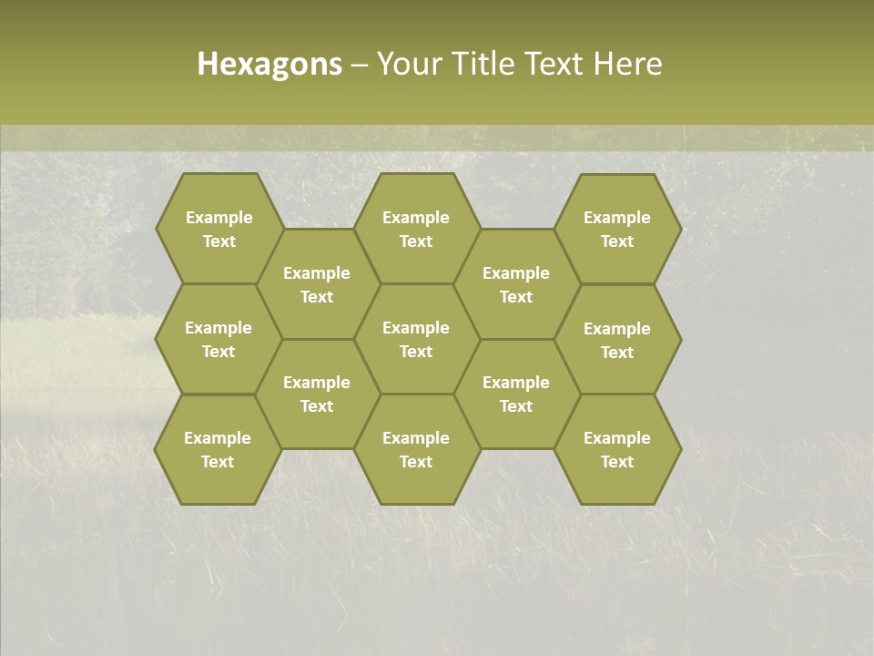 Nature Tree Daylight PowerPoint Template