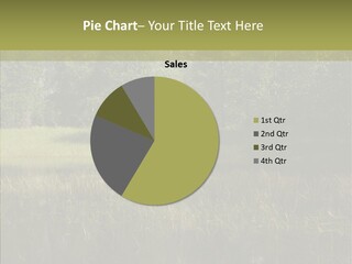 Nature Tree Daylight PowerPoint Template