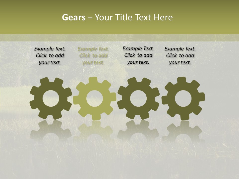 Nature Tree Daylight PowerPoint Template