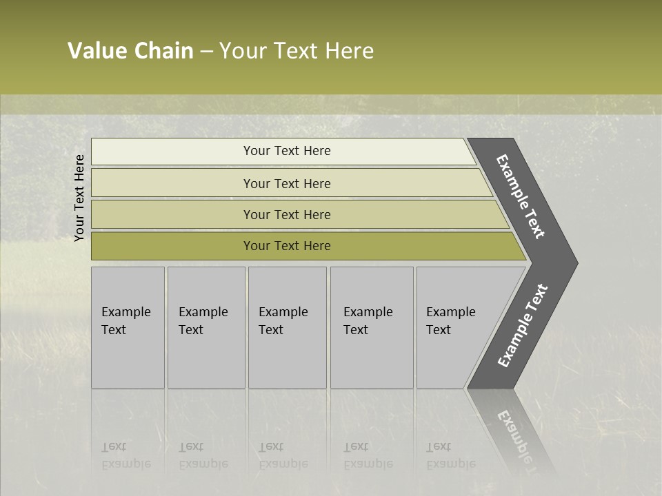 Nature Tree Daylight PowerPoint Template