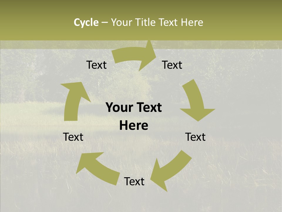 Nature Tree Daylight PowerPoint Template