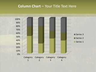 Nature Tree Daylight PowerPoint Template