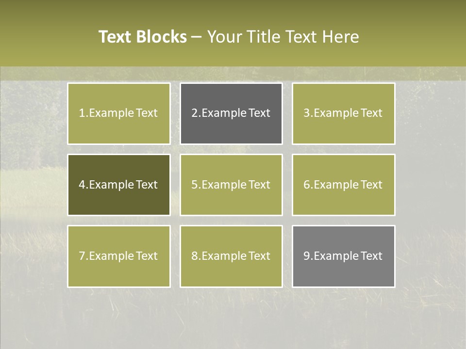 Nature Tree Daylight PowerPoint Template