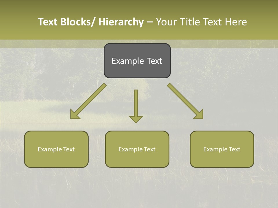 Nature Tree Daylight PowerPoint Template