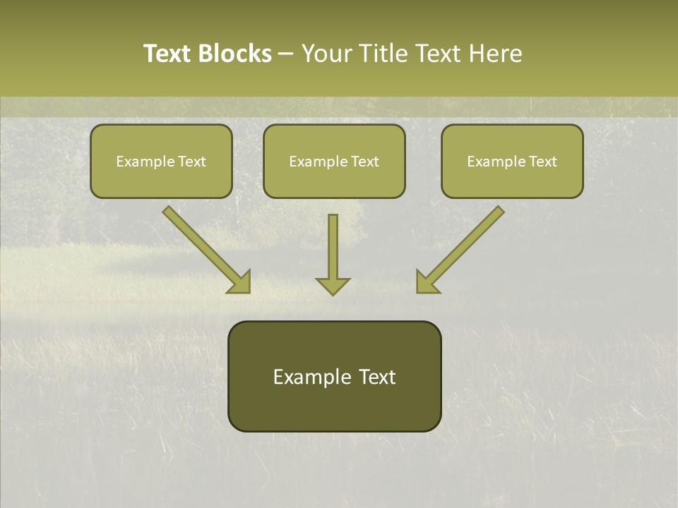 Nature Tree Daylight PowerPoint Template