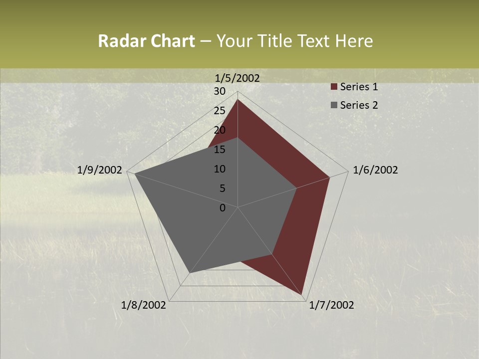 Nature Tree Daylight PowerPoint Template