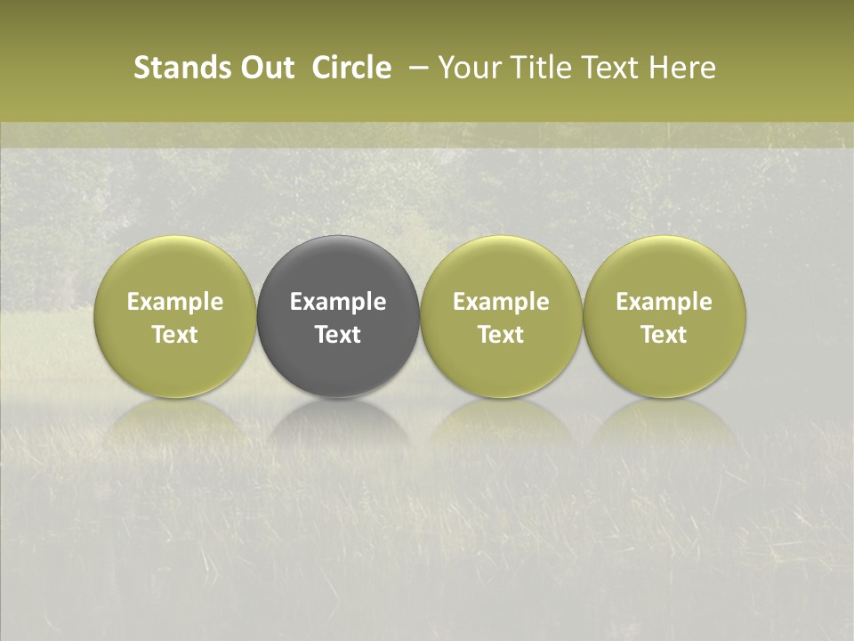 Nature Tree Daylight PowerPoint Template