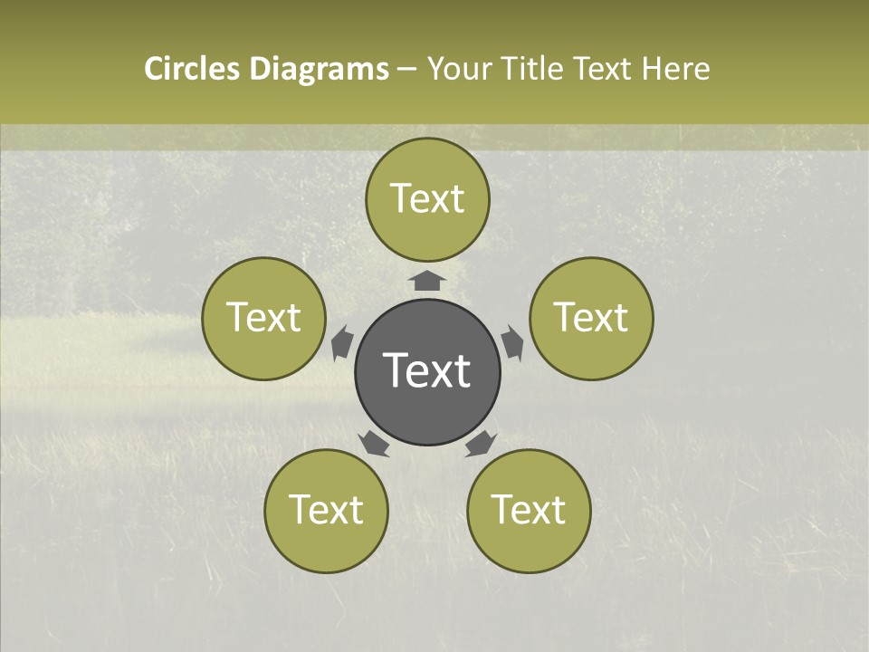 Nature Tree Daylight PowerPoint Template