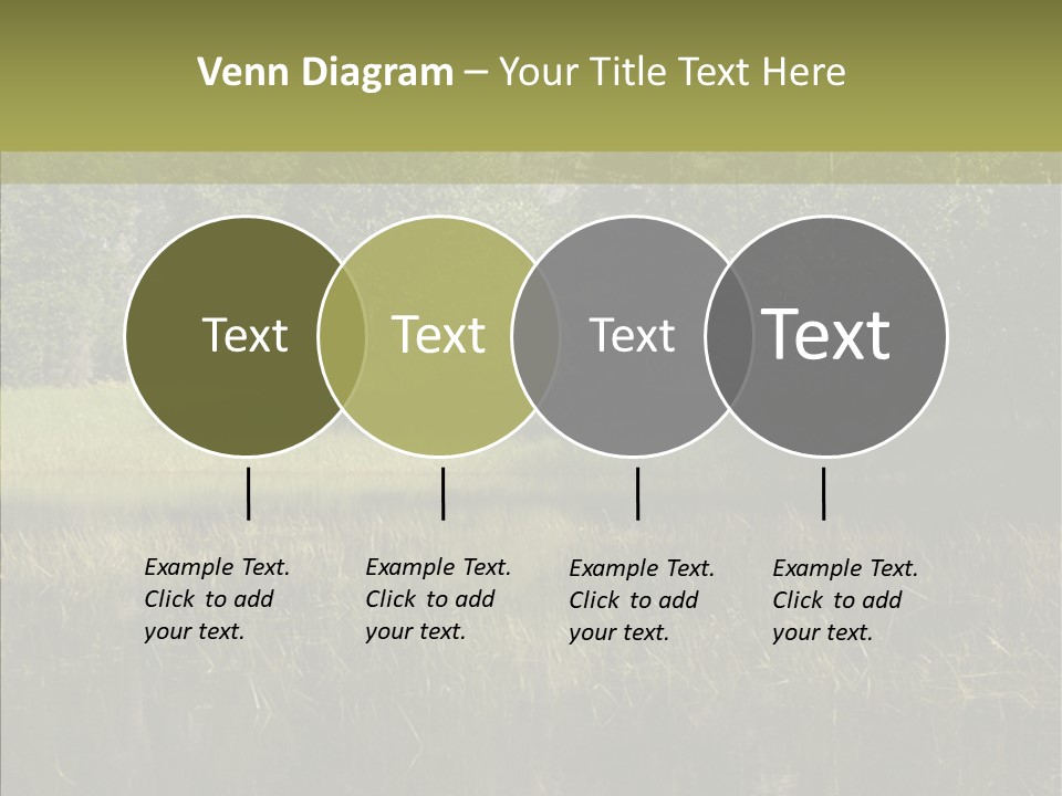 Nature Tree Daylight PowerPoint Template