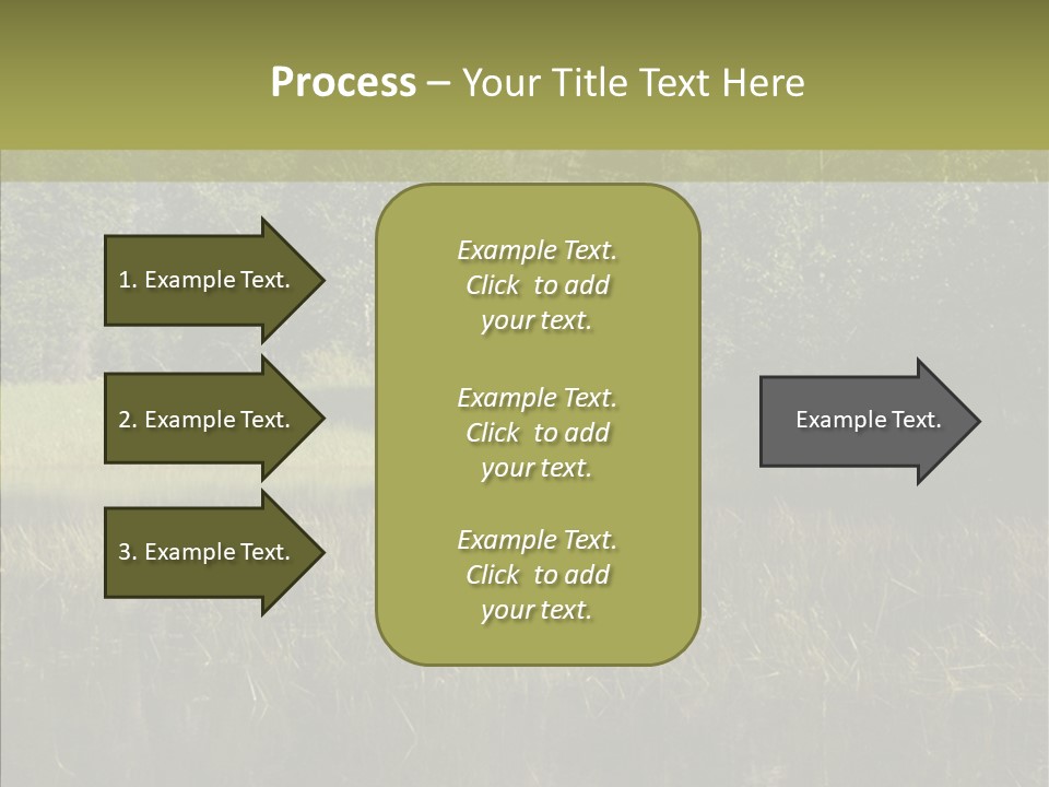 Nature Tree Daylight PowerPoint Template