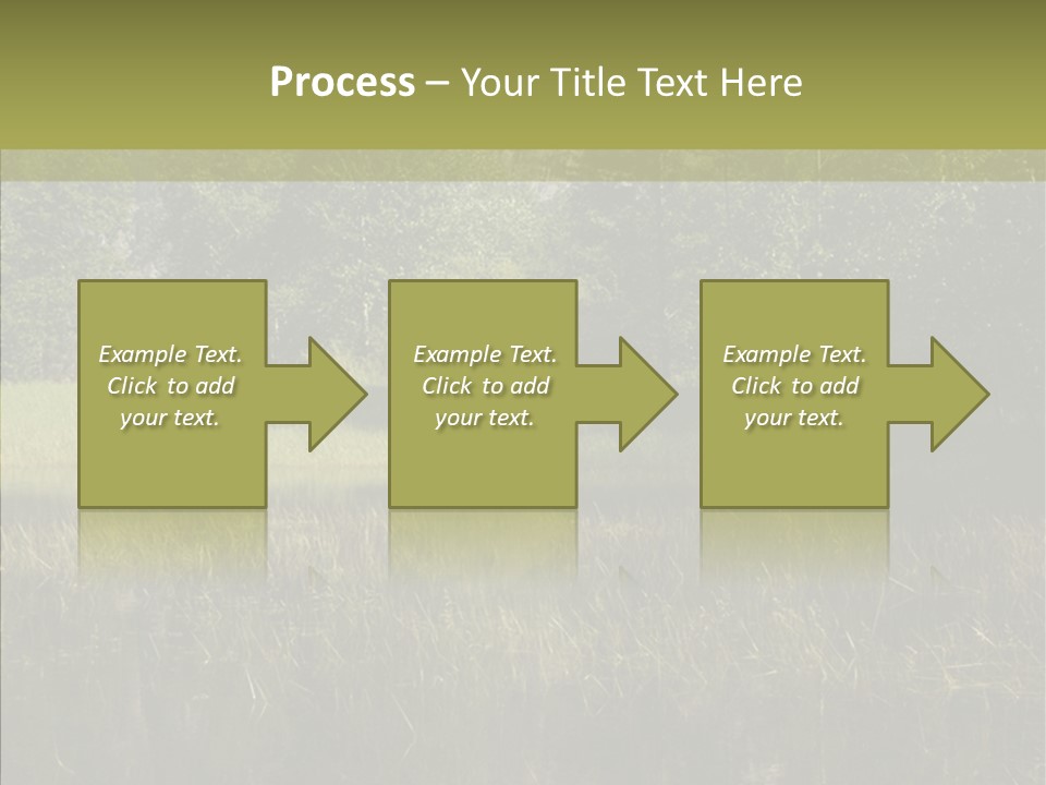 Nature Tree Daylight PowerPoint Template