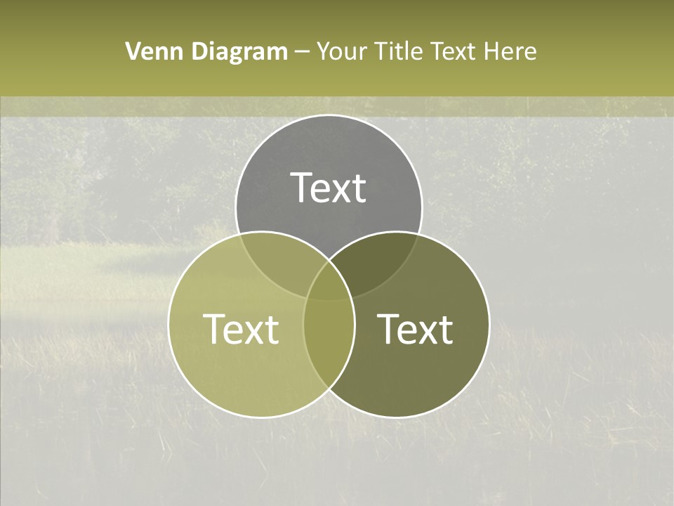Nature Tree Daylight PowerPoint Template