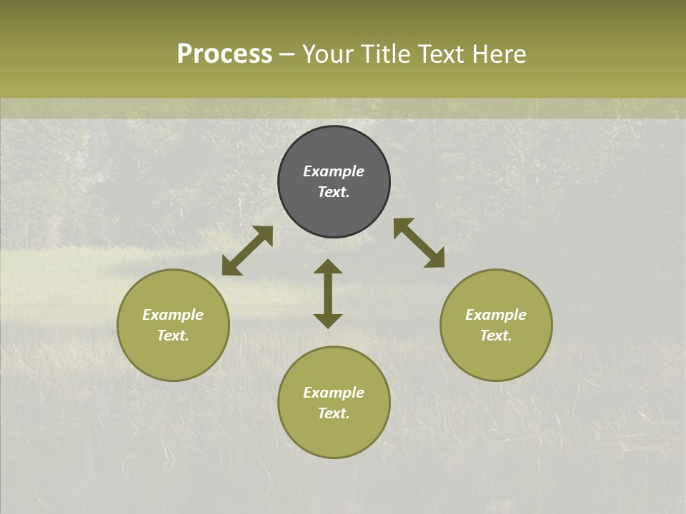 Nature Tree Daylight PowerPoint Template