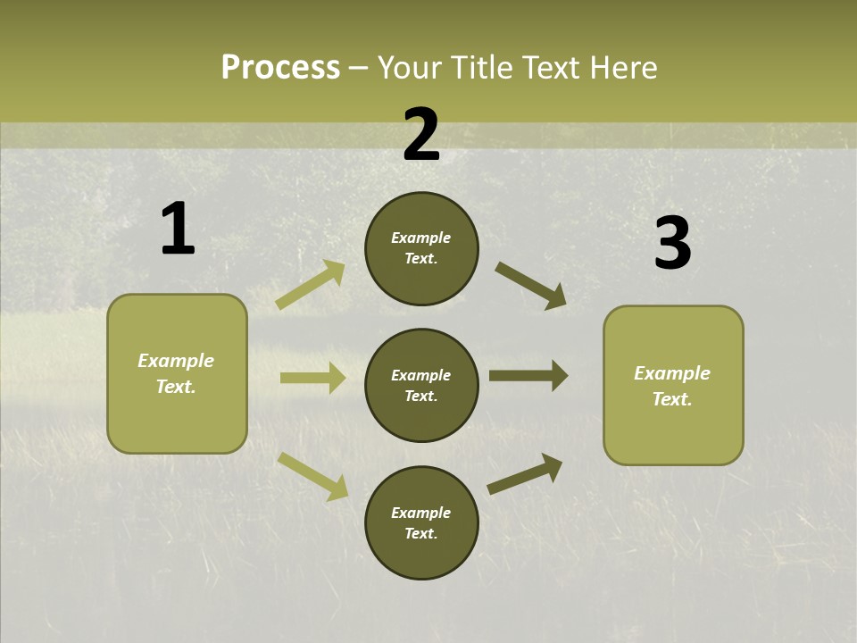 Nature Tree Daylight PowerPoint Template