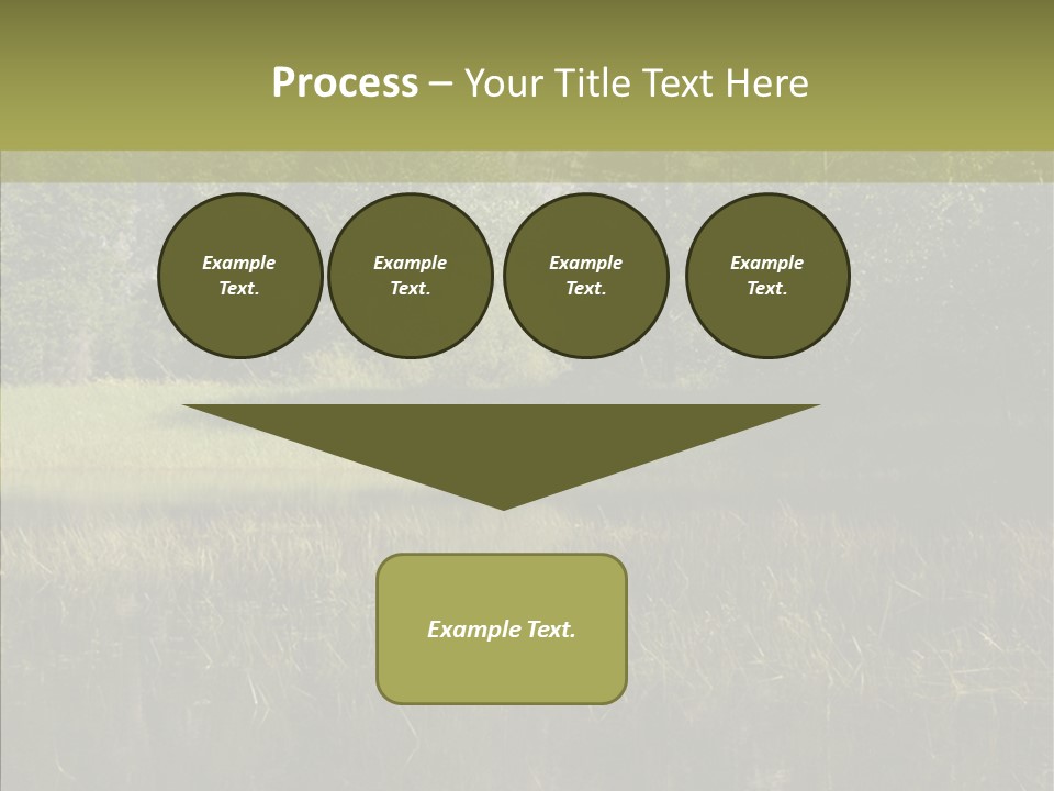 Nature Tree Daylight PowerPoint Template