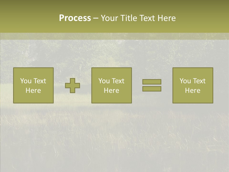 Nature Tree Daylight PowerPoint Template