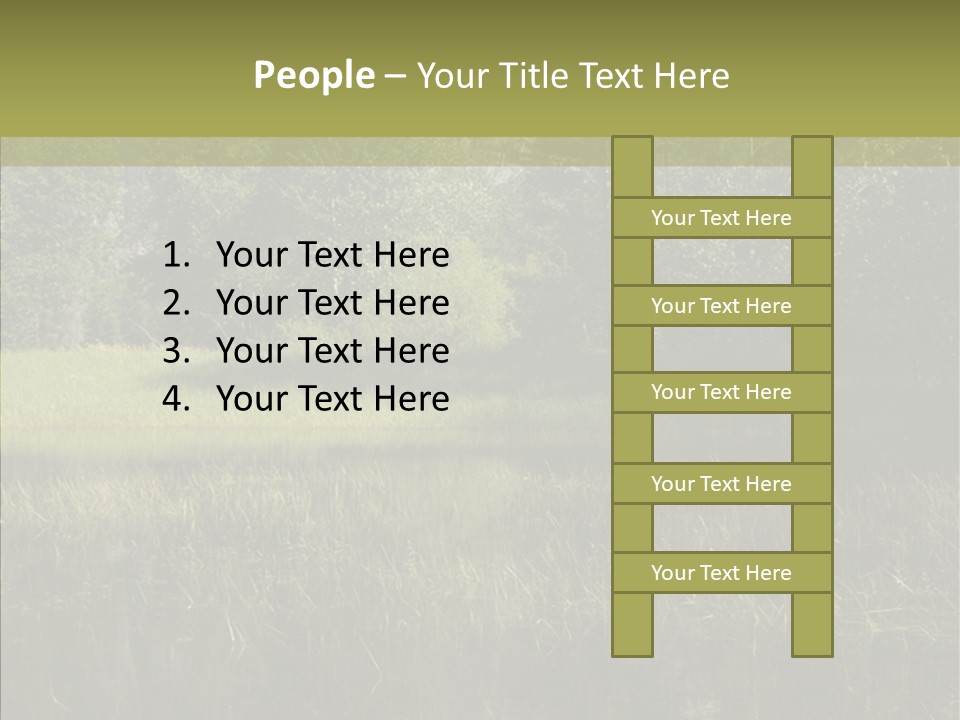 Nature Tree Daylight PowerPoint Template