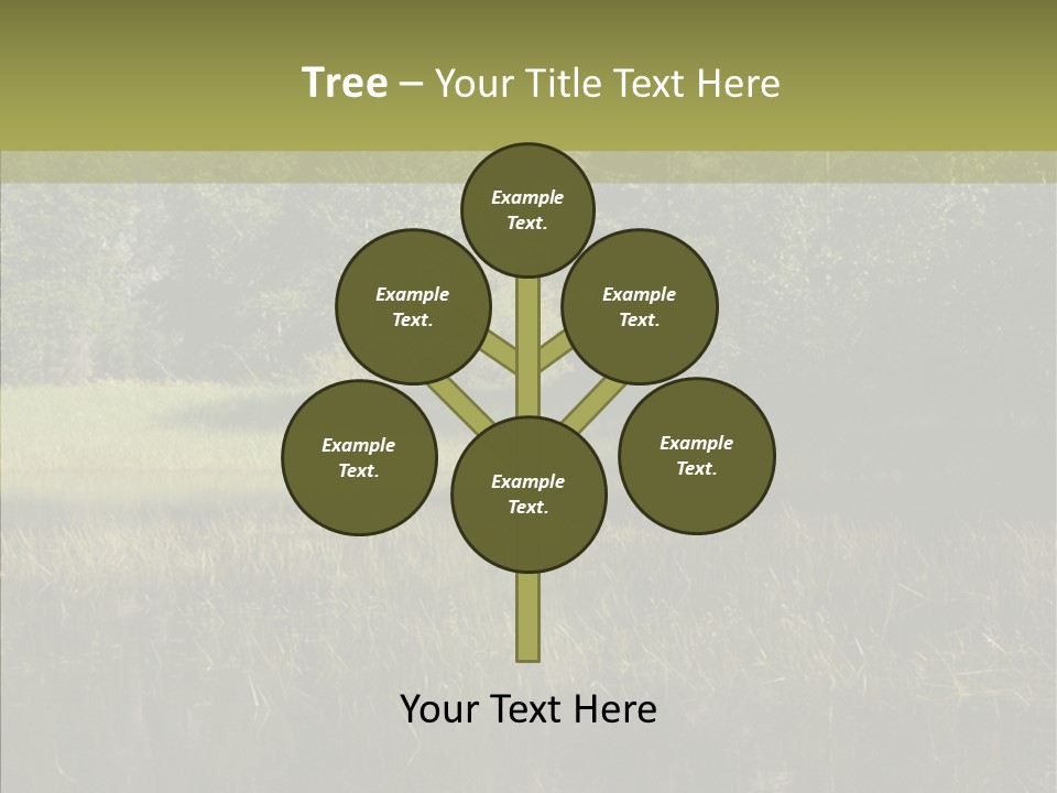 Nature Tree Daylight PowerPoint Template