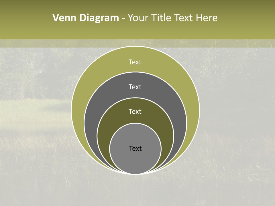 Nature Tree Daylight PowerPoint Template