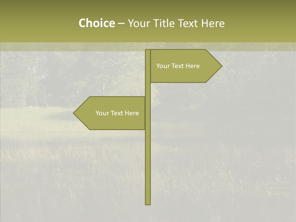 Nature Tree Daylight PowerPoint Template