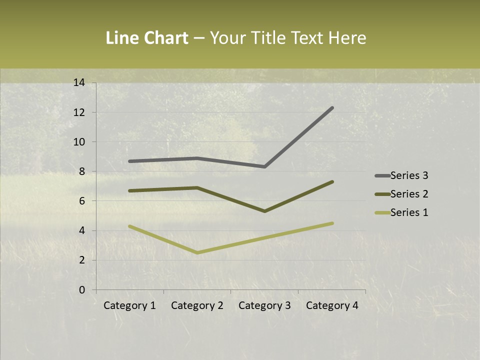 Nature Tree Daylight PowerPoint Template