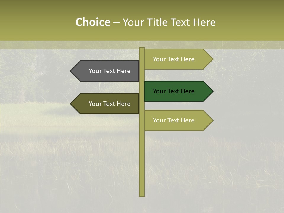 Nature Tree Daylight PowerPoint Template