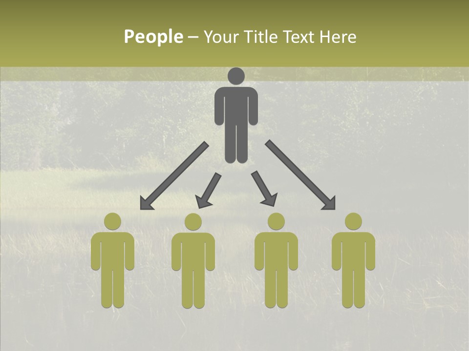 Nature Tree Daylight PowerPoint Template