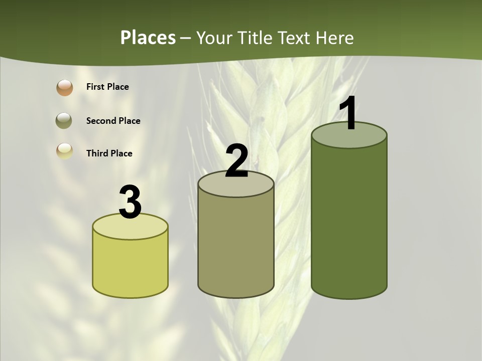 Grain Green Bread PowerPoint Template