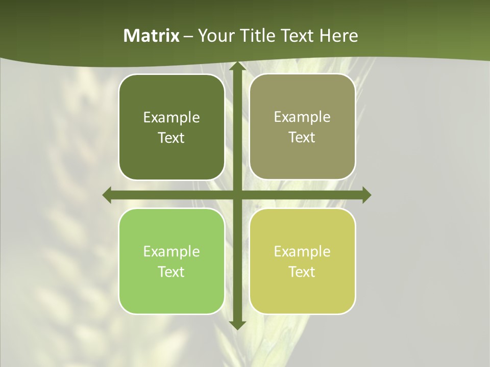 Grain Green Bread PowerPoint Template