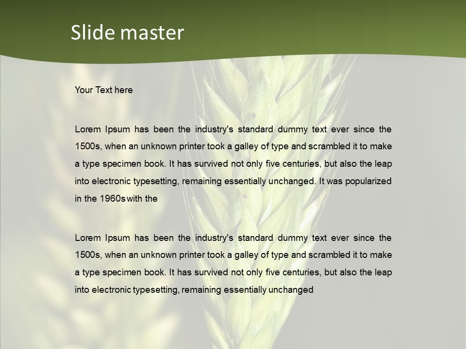 Grain Green Bread PowerPoint Template