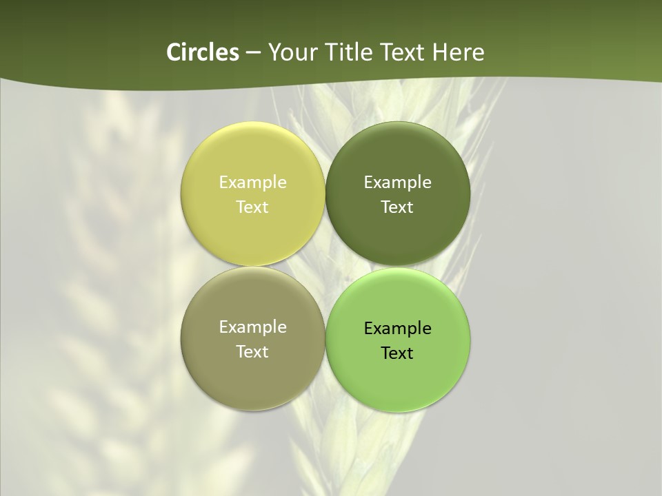 Grain Green Bread PowerPoint Template